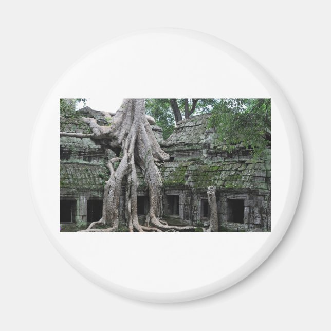 ta prohm temple  in cambodia magnet (Front)