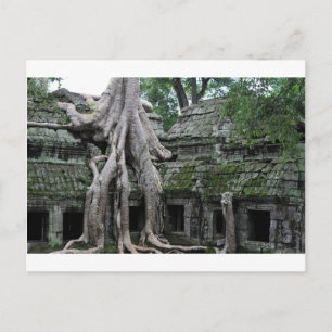 ta prohm temple in cambodia postcard