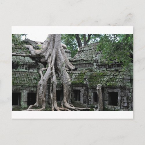 ta prohm temple  in cambodia postcard