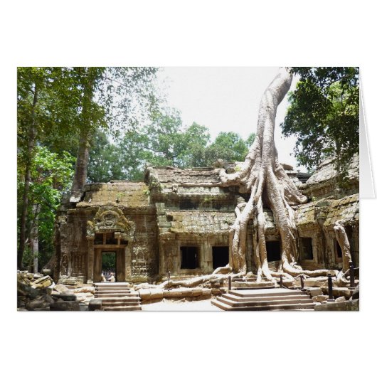 ta prohm tree cards (Front Horizontal)