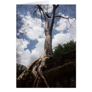 ta prohm tree cards