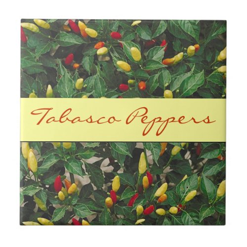 Tabasco Peppers Hot Chili Red Yellow Pepper Plant Tile