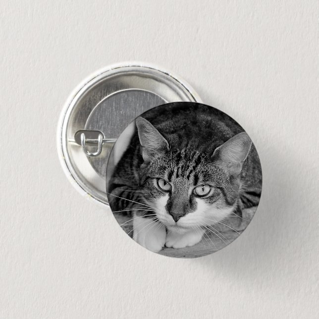 Tabby and White Cat Face Button (Front & Back)