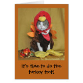 Tabby and white cat Thanksgiving card (Front)