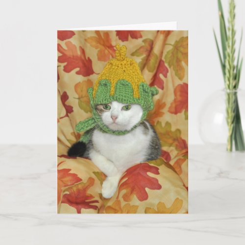 Tabby and white cat Thanksgiving or Fall card