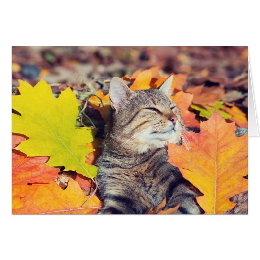 Tabby Basking in the Foliage Cards (Front Horizontal)