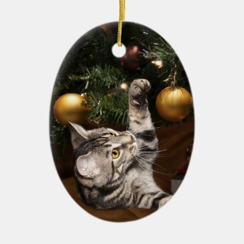Tabby cat and Christmas tree Ceramic Ornament