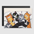 Tabby Cat and Tuxedo Cat Sleepover
