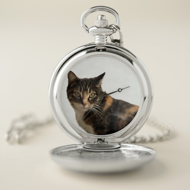 Tabby Cat Artistic Portrait On White Background Pocket Watch (Inside)