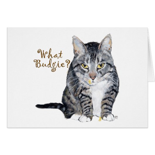Tabby Cat Asks: What Budgie? Cards (Front Horizontal)