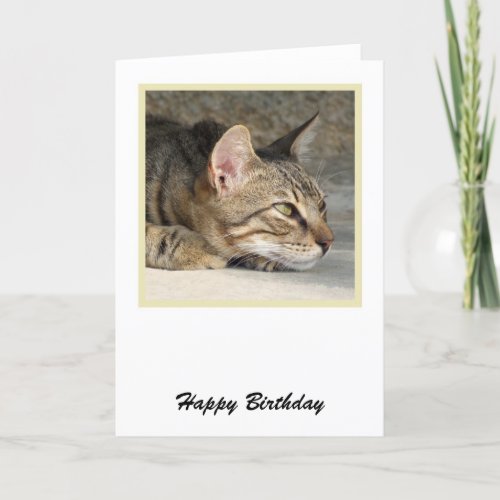Tabby Cat Birthday Card