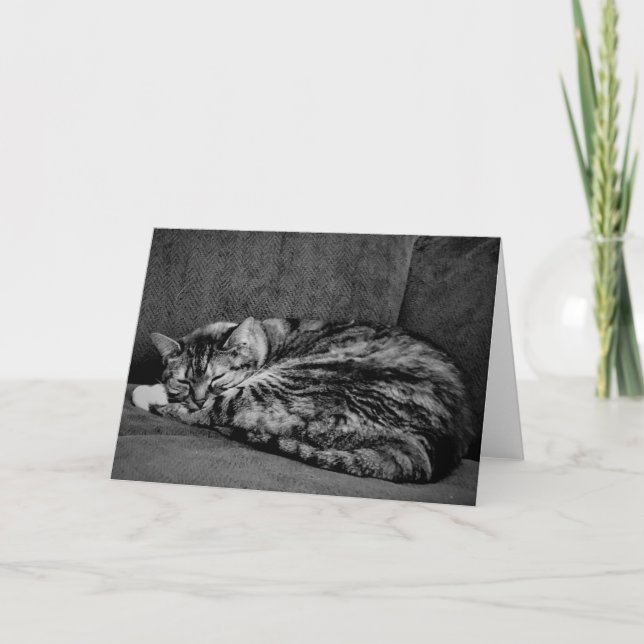 Tabby Cat, card (Front)