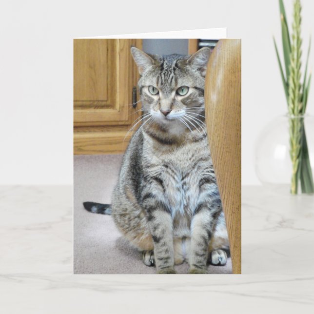 Tabby Cat Card (Front)