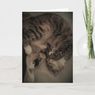 Tabby Cat Card