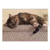 Tabby Cat, card (Front Horizontal)