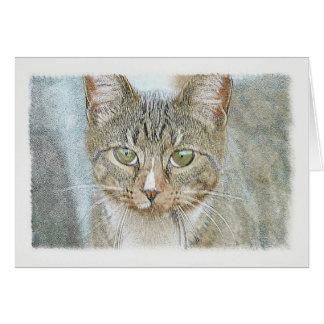 Tabby Cat Cards