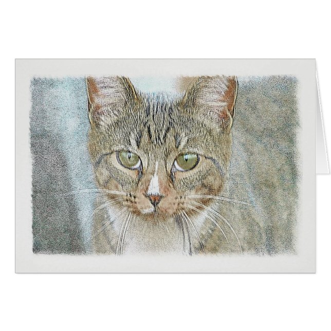 Tabby Cat Cards (Front Horizontal)