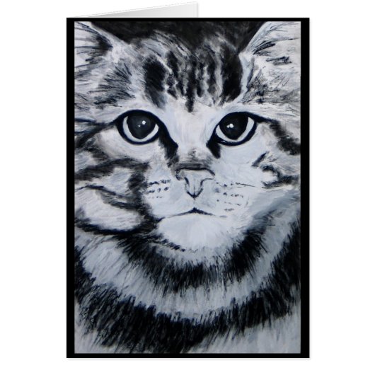 Tabby Cat Cards (Front)
