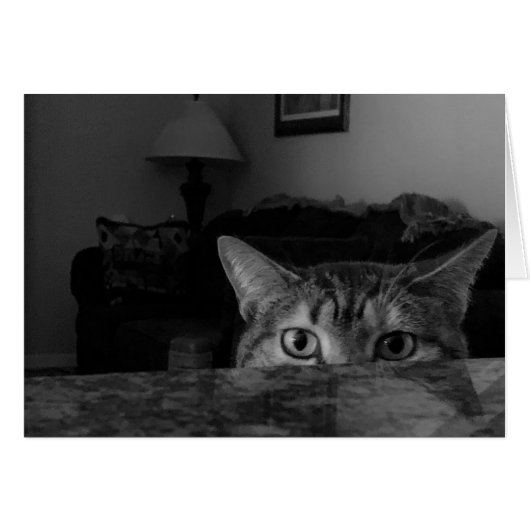 Tabby Cat Cards (Front Horizontal)