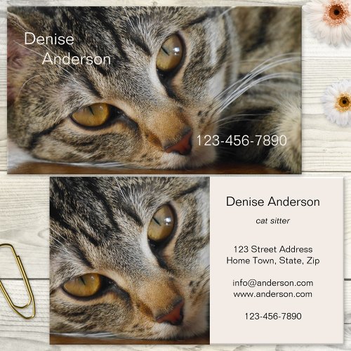Tabby Cat _ Cat Sitter Business Card