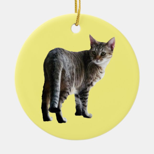 Tabby Cat Ceramic Ornament (Front)