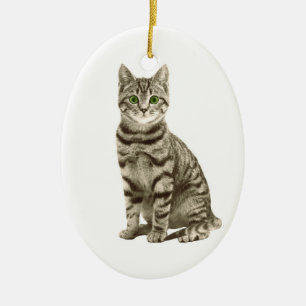 Tabby Cat Ceramic Ornament