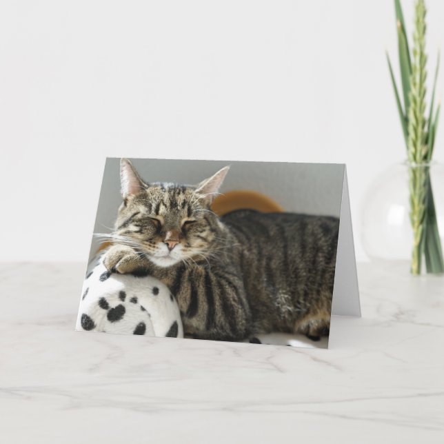 TABBY CAT "CHILL" BIRTHDAY CARD FOR ANYONE (Front)