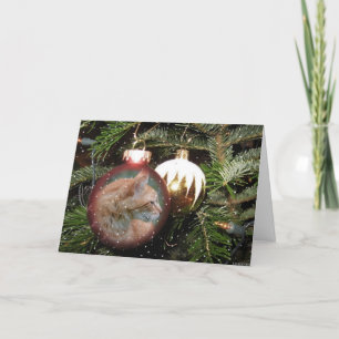 Tabby Cat Christmas Ball Greeting Card