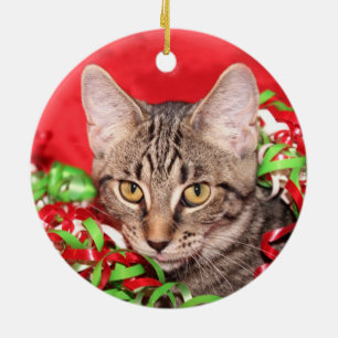 Tabby cat Christmas Ceramic Ornament