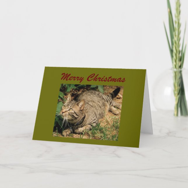 Tabby Cat Christmas Greeting Cards (Front)