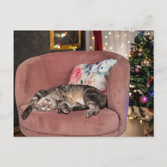 Tabby Cat Christmas Snooze Postcard (Front)