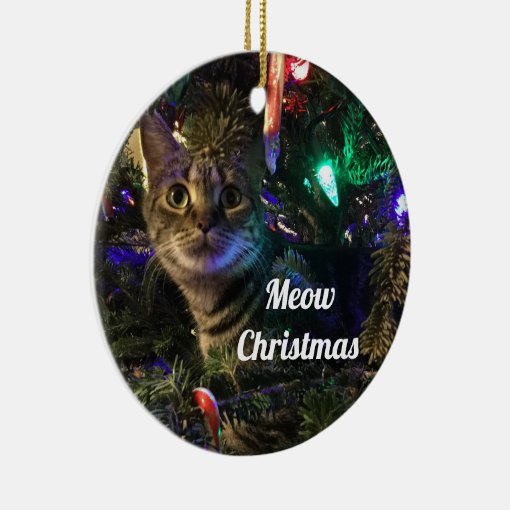 Tabby Cat Christmas Tree Ornament | Zazzle