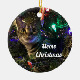 Tabby Cat Christmas Tree Ornament