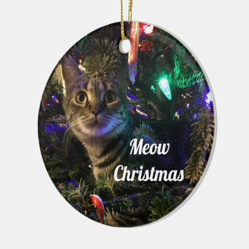 Tabby Cat Christmas Tree Ornament Zazzle