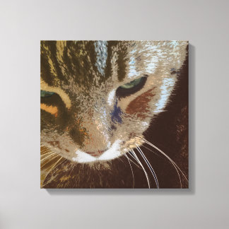 Tabby Cat Close Up Wrapped Canvas Print