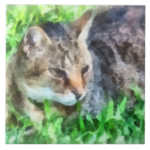 Tabby Cat Closeup Ceramic Tile