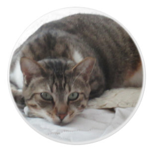 Tabby Cat Custom Ceramic Knob