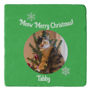 Tabby Cat Customize Photo Name Trivet