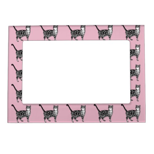 Tabby Cat Cute Cats Pastel Baby Pink Photo Frame