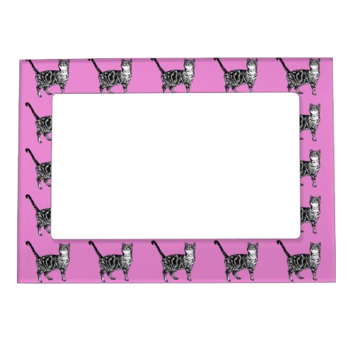 Tabby Cat Cute Cats Pastel Hot Pink Photo Frame