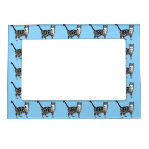 Tabby Cat Cute Cats Pastel Light Blue Photo Frame