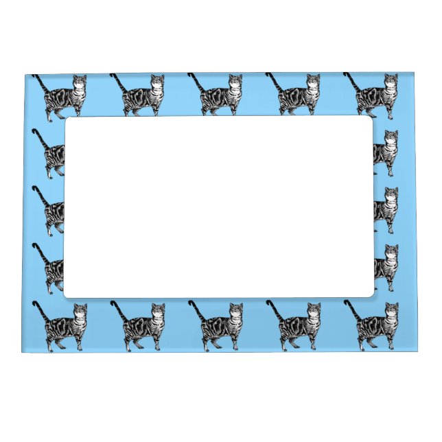Tabby Cat Cute Cats Pastel Light Blue Photo Frame (Front)