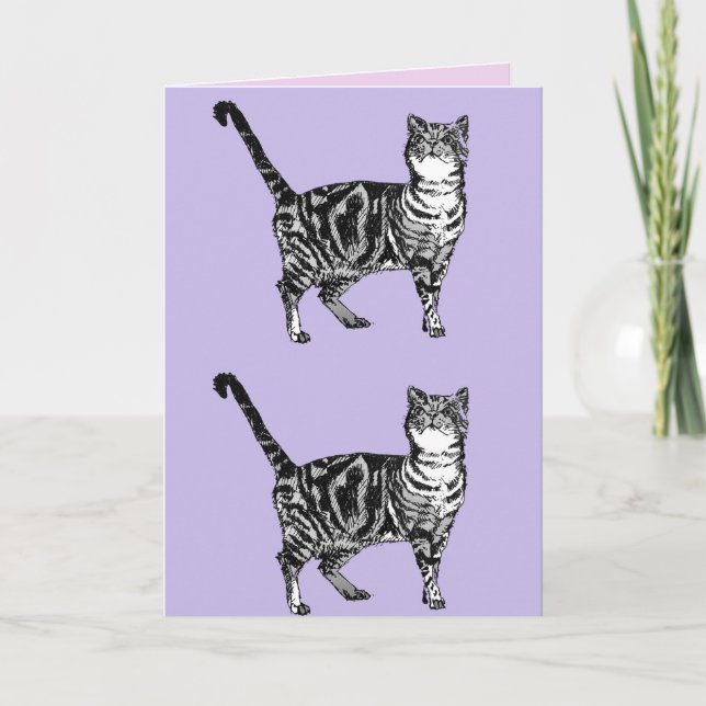 Tabby Cat Cute Cats Pink Art Drawing Birthday Card (Front)