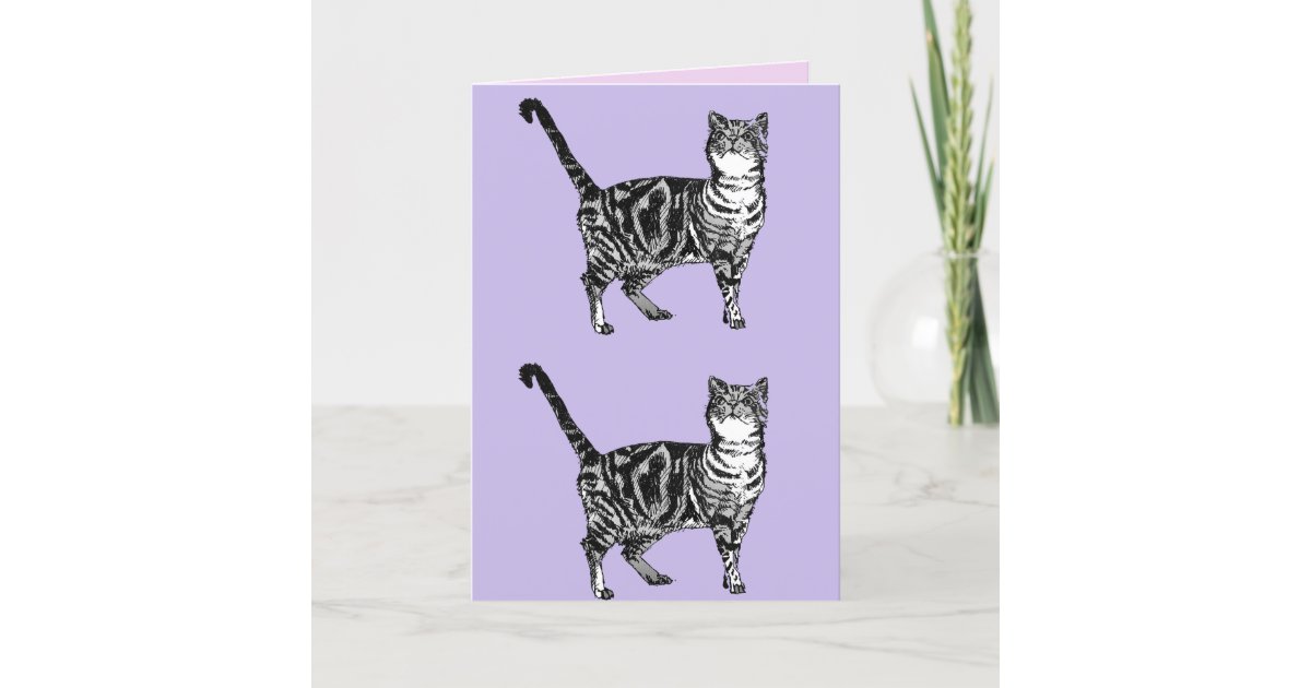 Tabby Cat Cute Cats Pink Art Drawing Birthday Card Zazzle Com