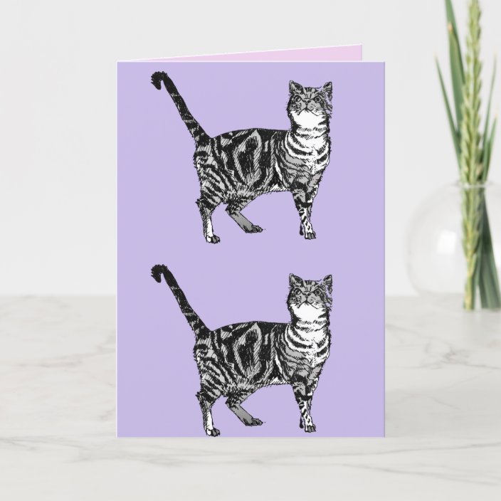 Tabby Cat Cute Cats Pink Art Drawing Birthday Card Zazzle Com