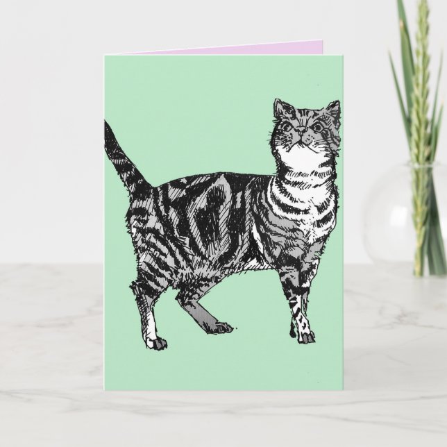 Tabby Cat Cute Cats Pink Art Drawing Birthday Card (Front)