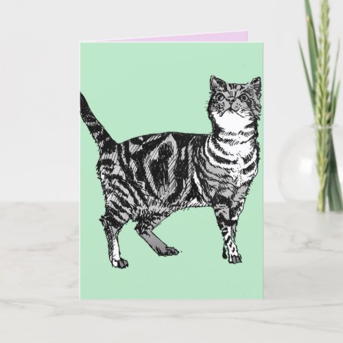 Tabby Cat Cute Cats Pink Art Drawing Birthday Card