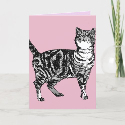 Tabby Cat Cute Cats Pink Art Drawing Birthday Card