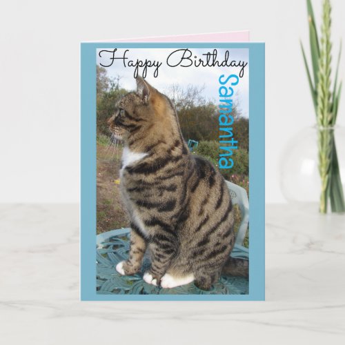 Tabby Cat Cute Striped Cats Birthday Card