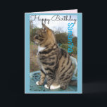 Tabby Cat Cute Striped Cats Birthday Card<br><div class="desc">Tabby Cat Cute Striped Cats Birthday Card. Designed from one of my original photographs,  a must for all cat lovers!.</div>